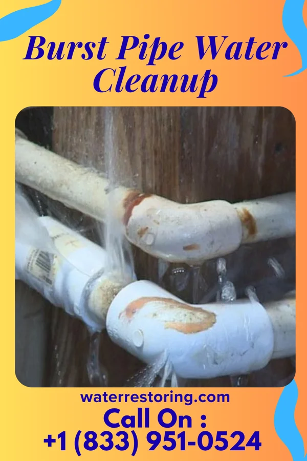 Burst Pipe Water Cleanup in Rennert, NC