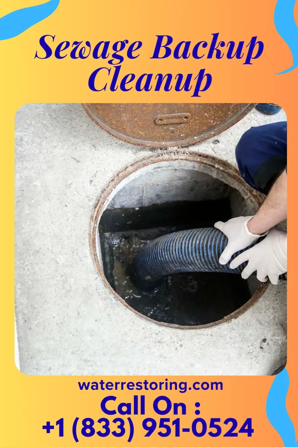 Sewage Backup Cleanup in Rennert, NC
