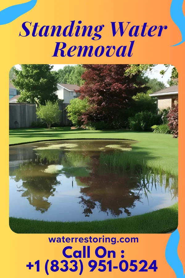 Standing Water Removal in Rennert, NC